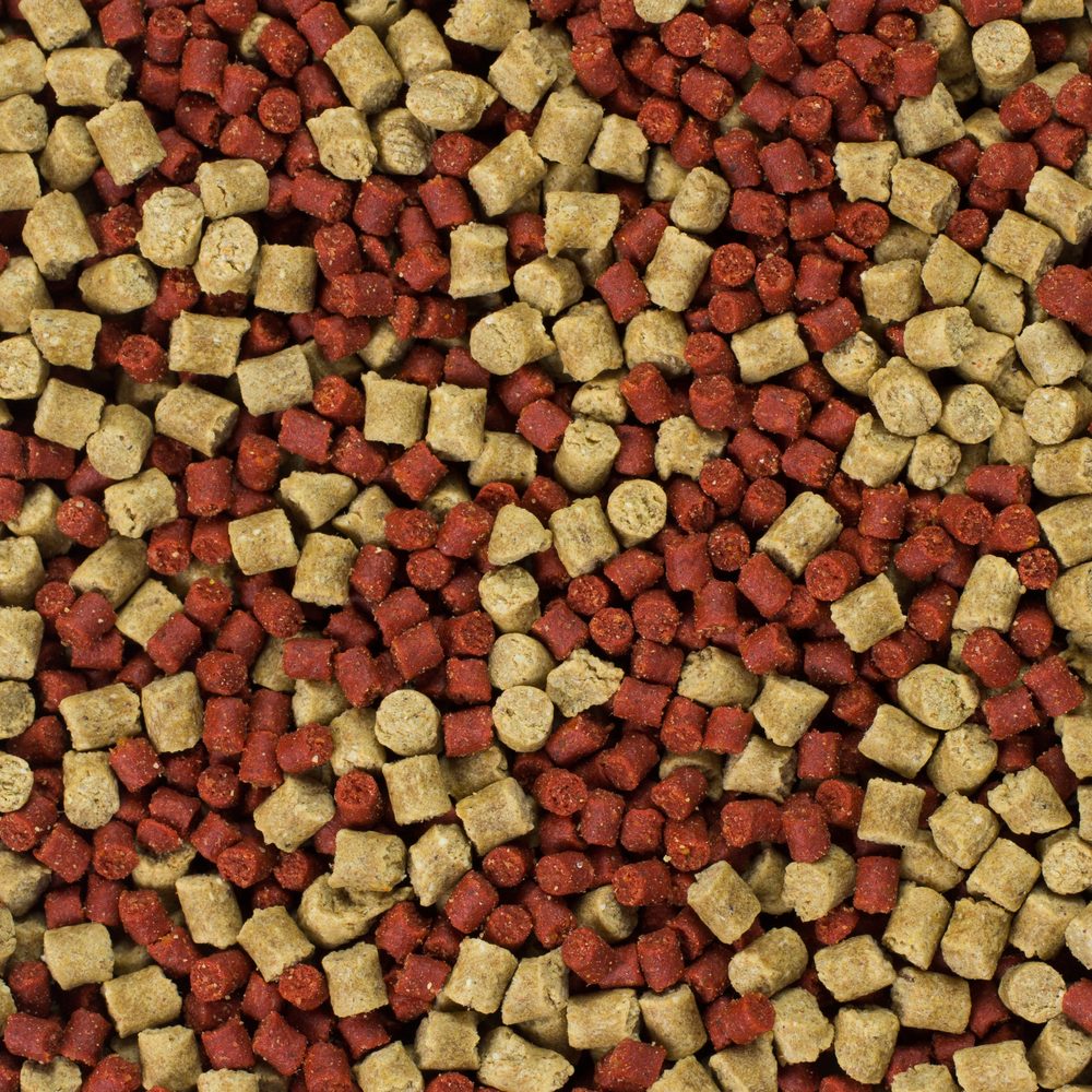 Mikbaits XXL Method Feeder micro pelety 1kg - Vanilka Švestka