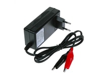 WILSTAR Nabíječka 12V/0,8A pro olověné AGM/GEL akumulátory