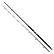Fotografie Giants Fishing Prut Deluxe Catfish 2,9m 500g