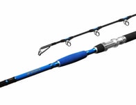 Delphin Prut HAZARD - 255cm/500g