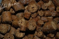 LK Baits Pelety ReStart Mussel 1kg