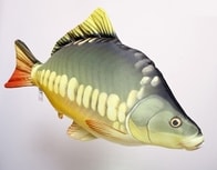Gaby Polštář Kapr obecný - 65 cm