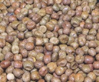 Mikbaits Javorové semínko 10kg
