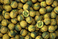 LK Baits Boilie Top ReStart Green Banana 18mm 5kg + Booster ZDARMA!