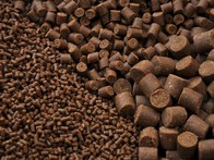 Nikl Pelety Noční Můra 18mm s dírkou 1kg