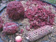 Mikbaits Instantní vnadící Method mix 2,5kg - Fish Frenzy XP
