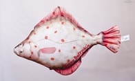 Gaby Polštář Platýz - 41 cm
