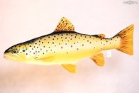 Gaby Polštář Pstruh potoční obecný - 60 cm