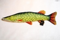 Gaby Polštář Štika obecná - 80 cm